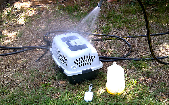 cat-carrier-cleaning