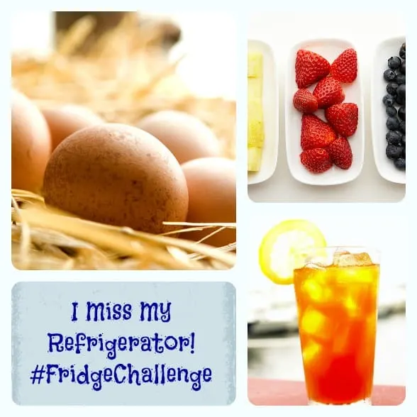 fridgechallenge-collage