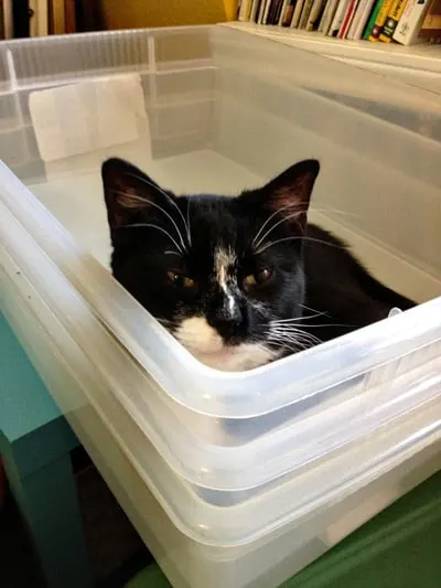 lucky-box2WEB