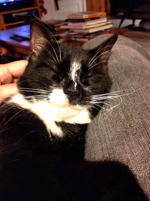 lucky-nap