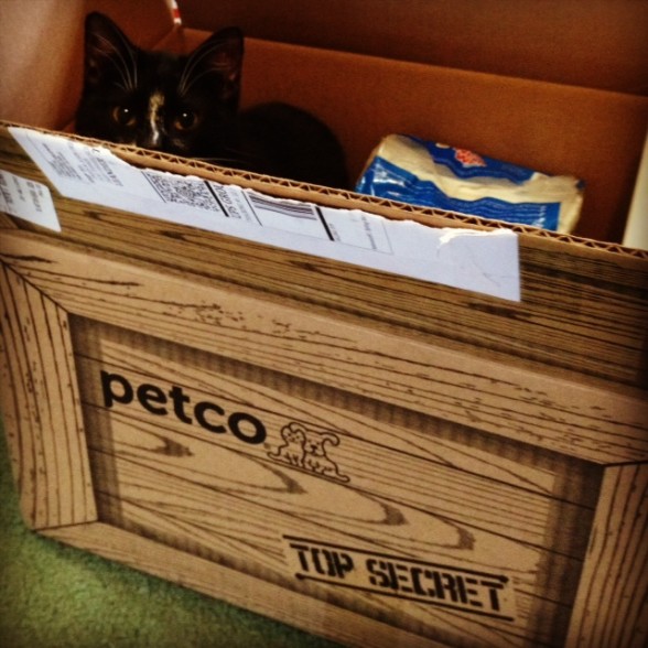 lucky-petco