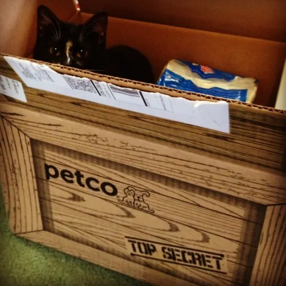 lucky-petco