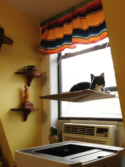 lucky-window