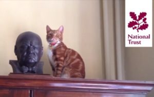 Churchill