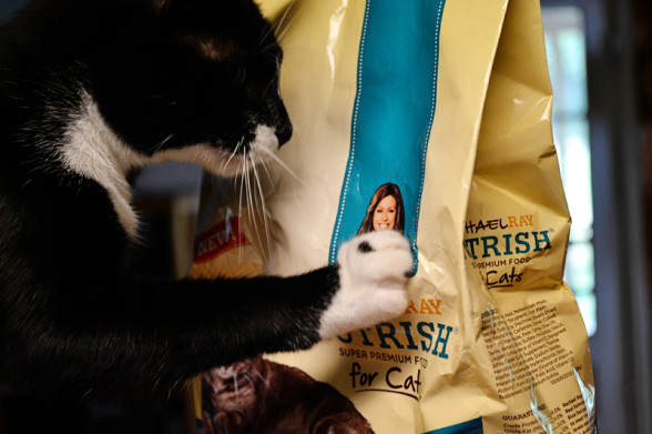 lucky-nutrish-bag
