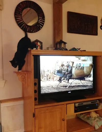 lucky-tv