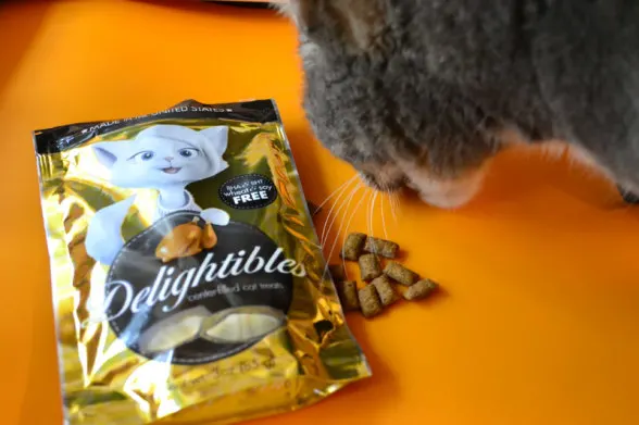 delightibles-orange