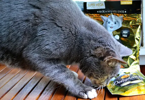 linus-window-delightibles