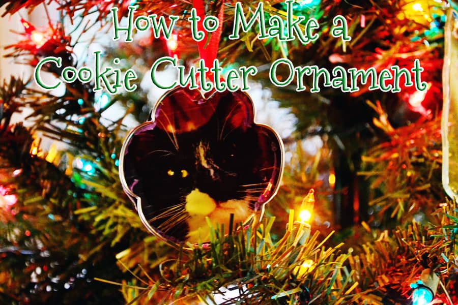 CT-cookie-cutter-ornament-title