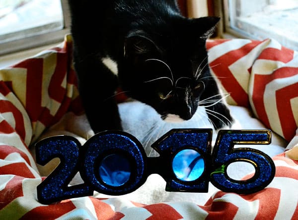 lucky-2015-glasses