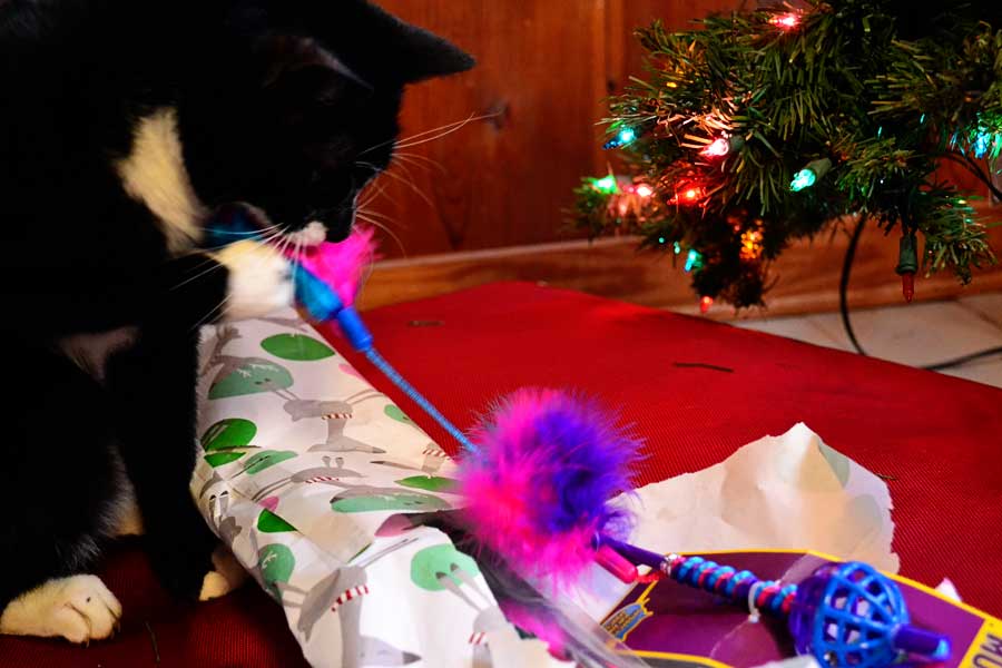 lucky-christmas-toy