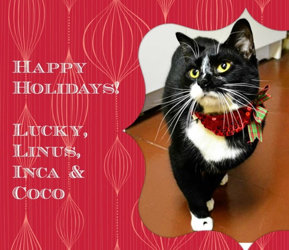 lucky-collar-900-card