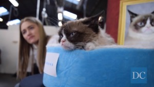 Grumpy