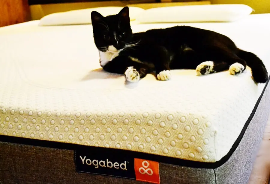lucky-bed-name