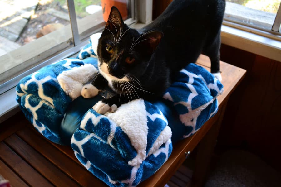 lucky-tuesday-morning-blanket-900