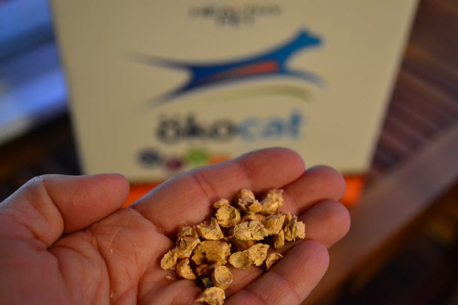 closeup of okocat litter