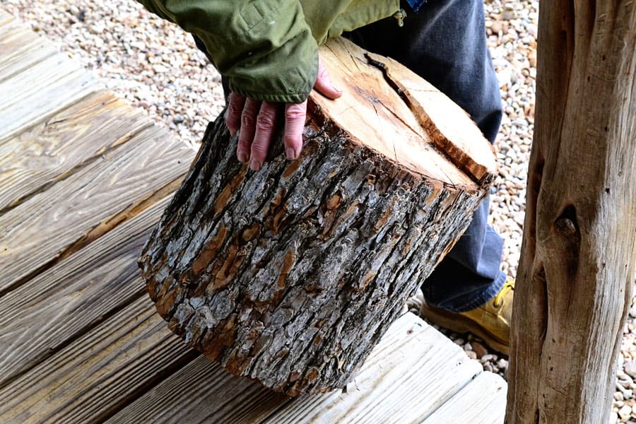 elm-stump