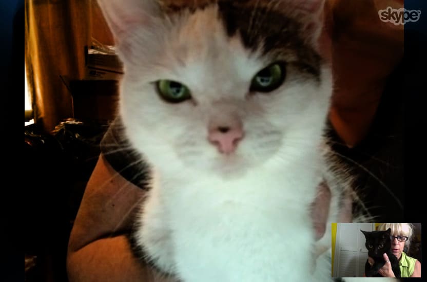 annie-inca-skype