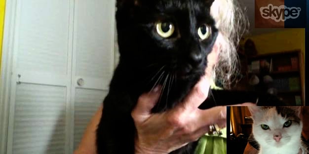 inca-annie-skype