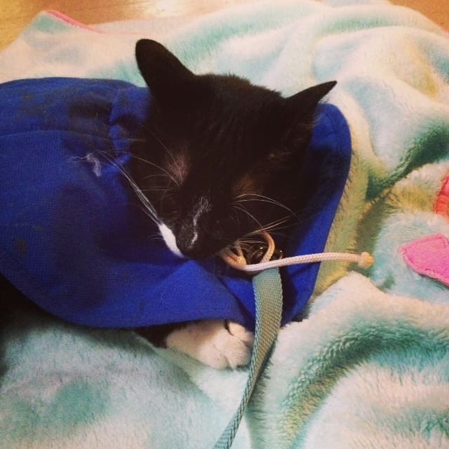 lucky-cone-blanket