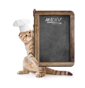 funny kitten in cook hat holding menu blackboard