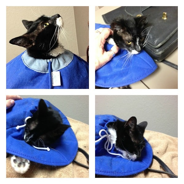lucky-hospital-collage