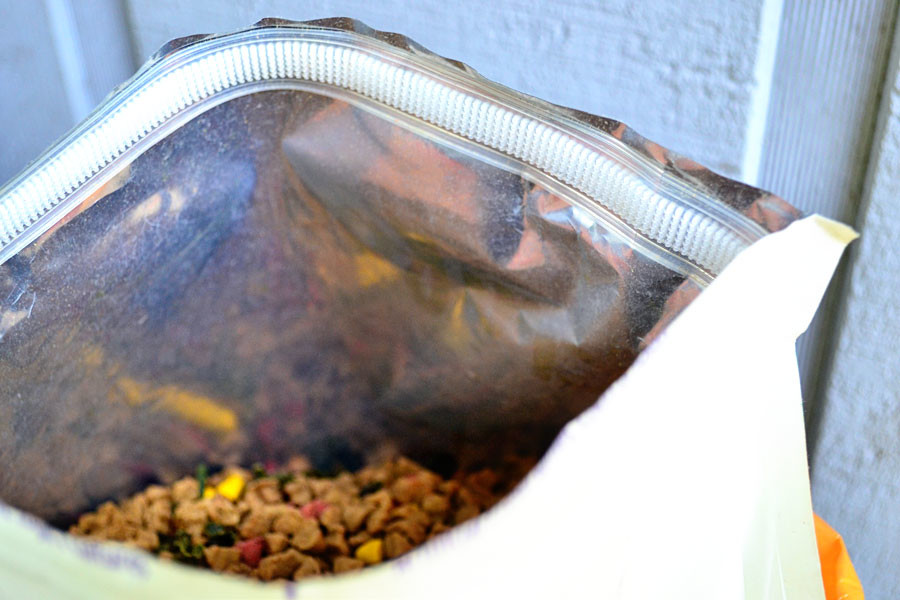 bag
