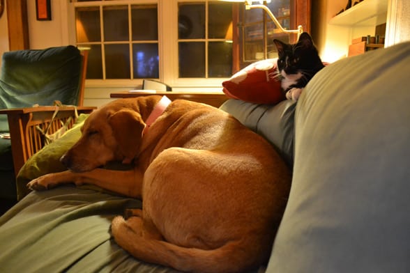 irie-lucky-couch