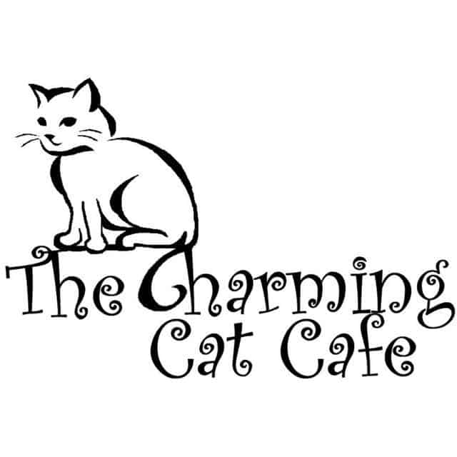Lewisville cat cafe: Charming Cat