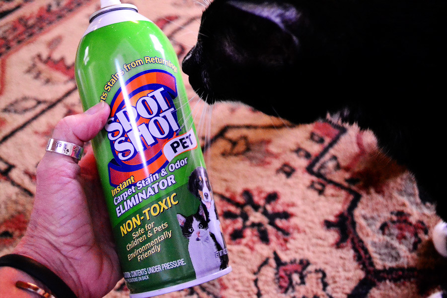 Can of Spot Shot Pet with tuxedo cat