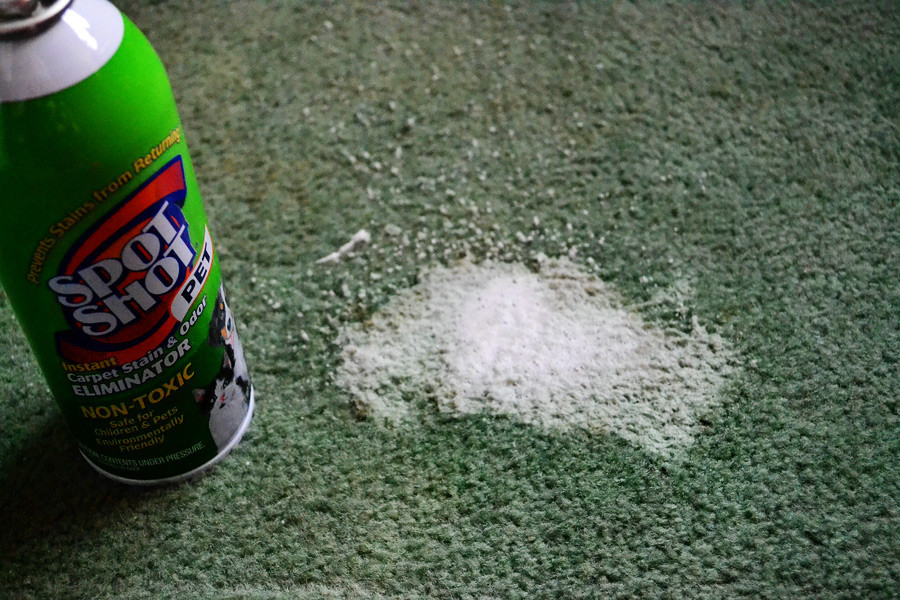 cleaning carpet