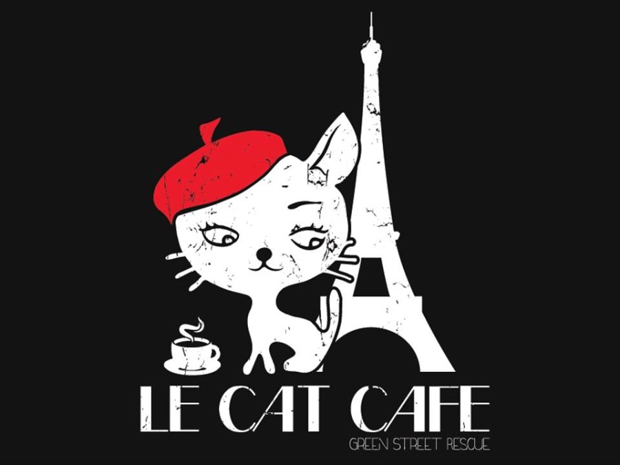 Philadelphia cat cafe:Le Cat Cafe