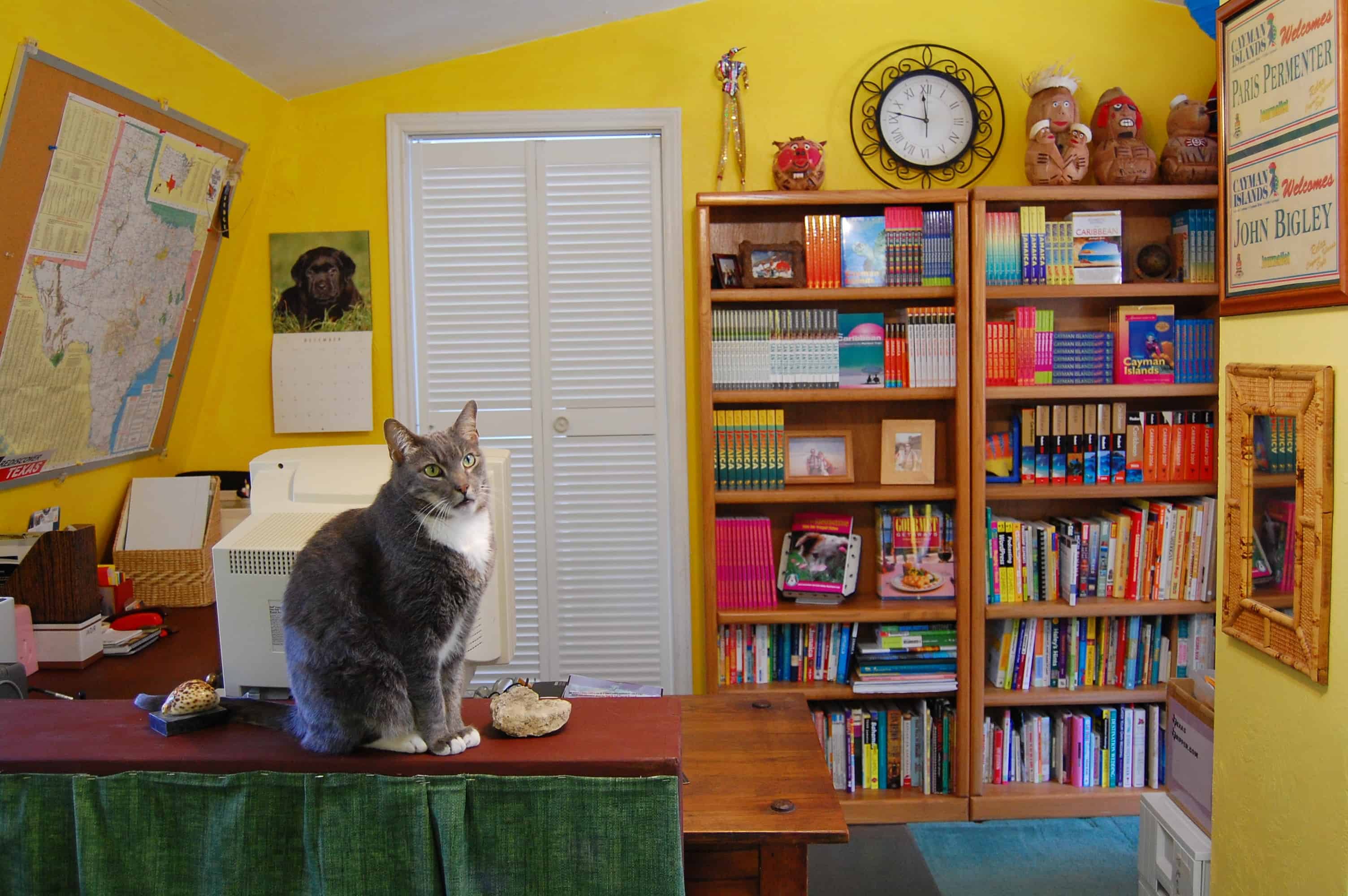 Linus-office
