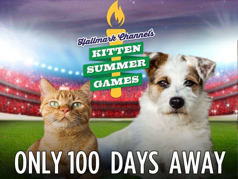 Kitten Summer Games