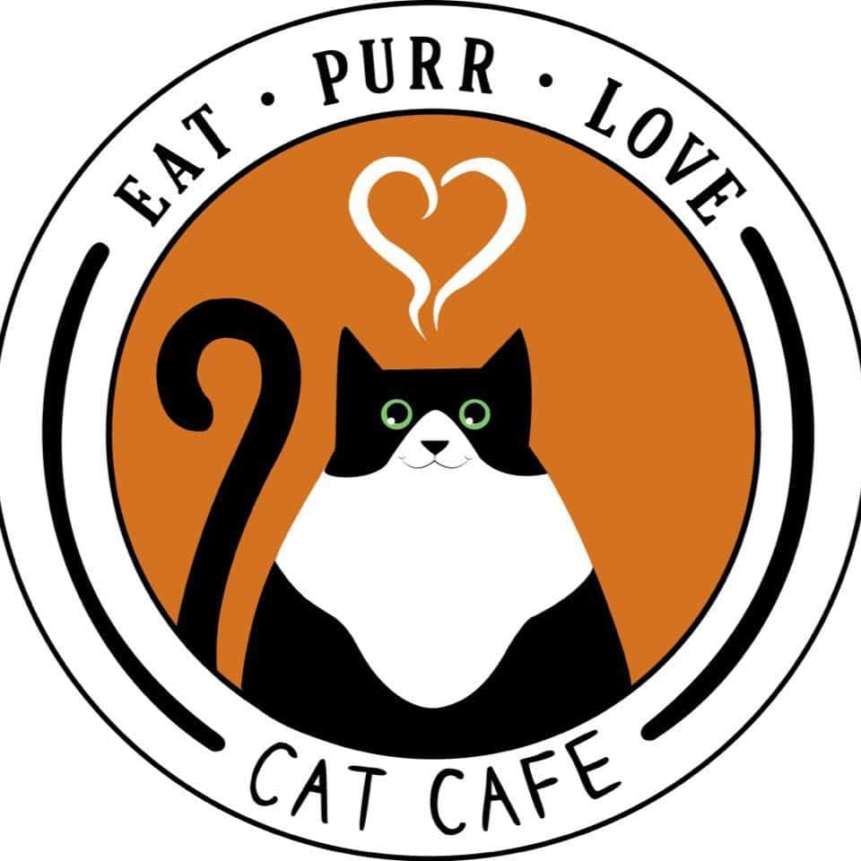 Ohio cat cafe Eat Purr Love 