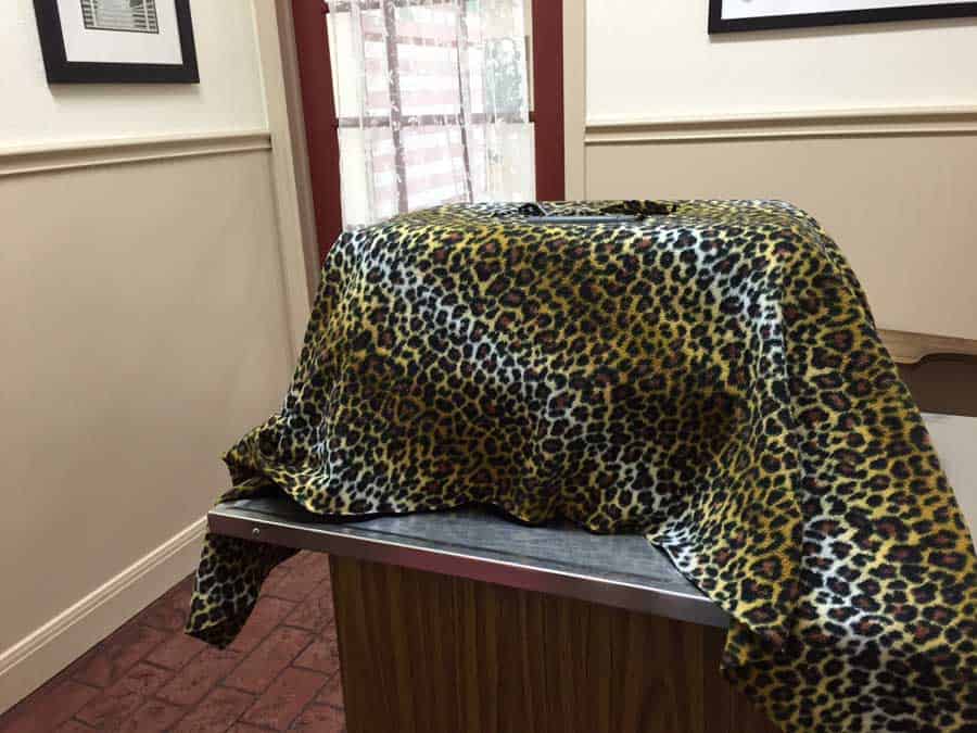 keeping cat calm at veterinary office