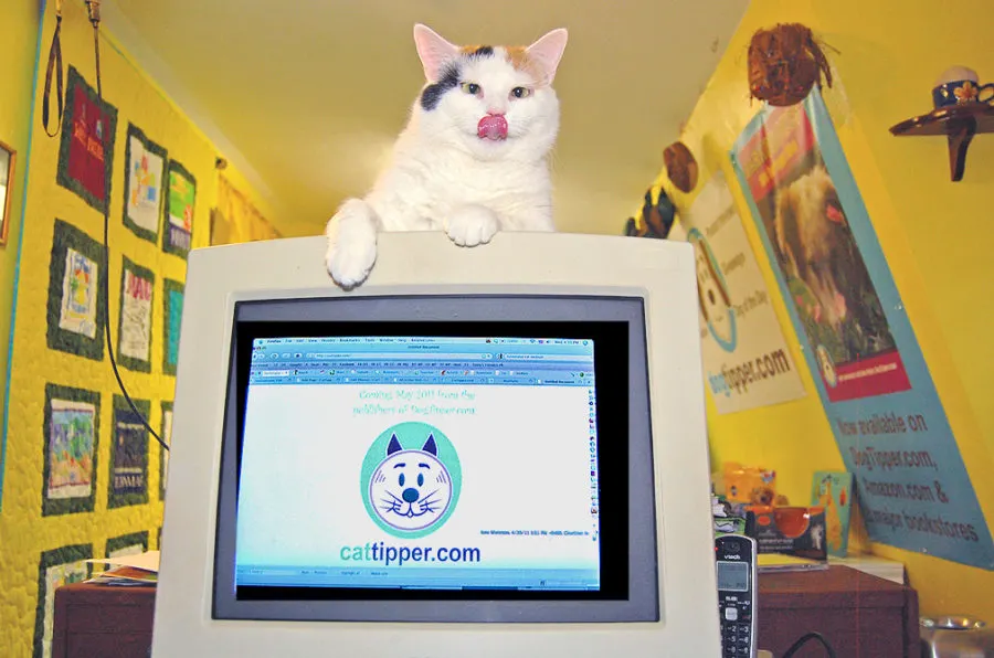 slide3-coco-computer