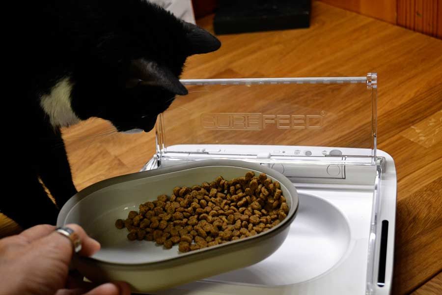 surefeed removable bowl