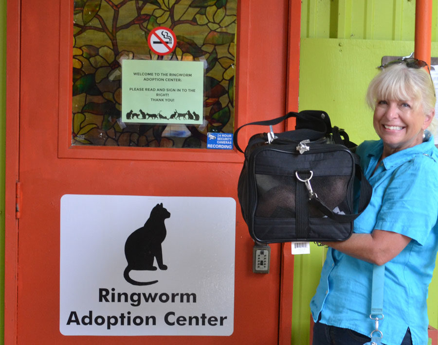 ringworm ward at shelter