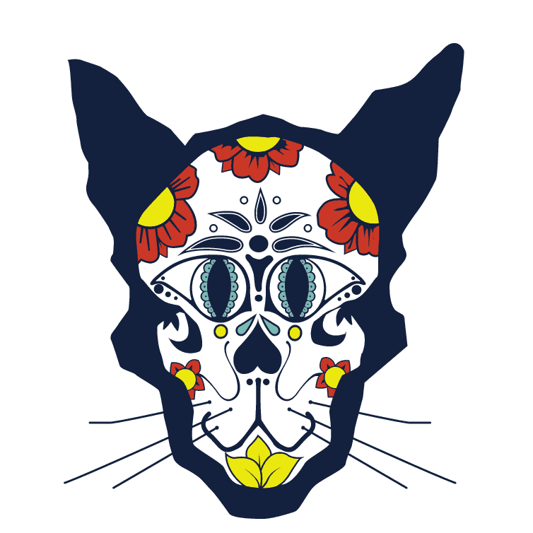 El Gato Coffeehouse Cat Cafe, Houston, Texas