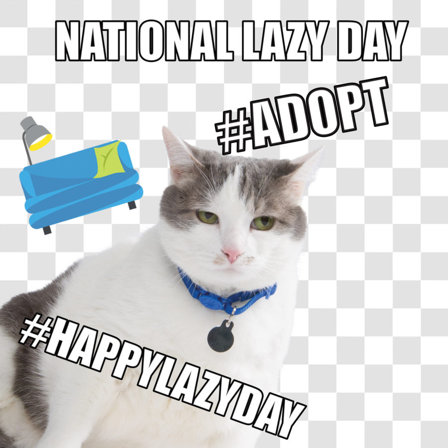 National Lazy Day