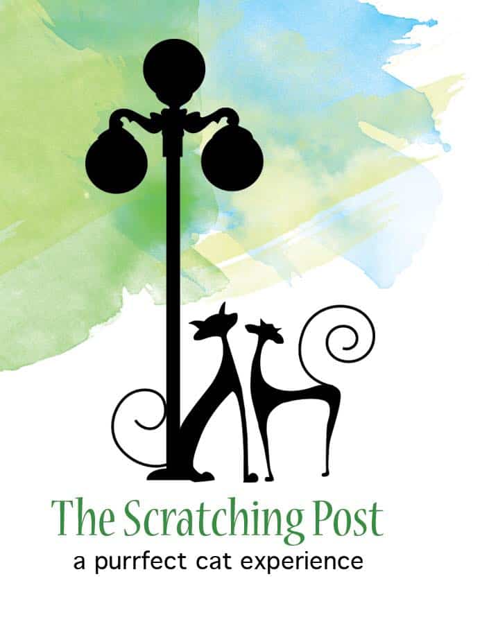 The Scratching Post Cat Cafe Lewisburg, Pennsylvania