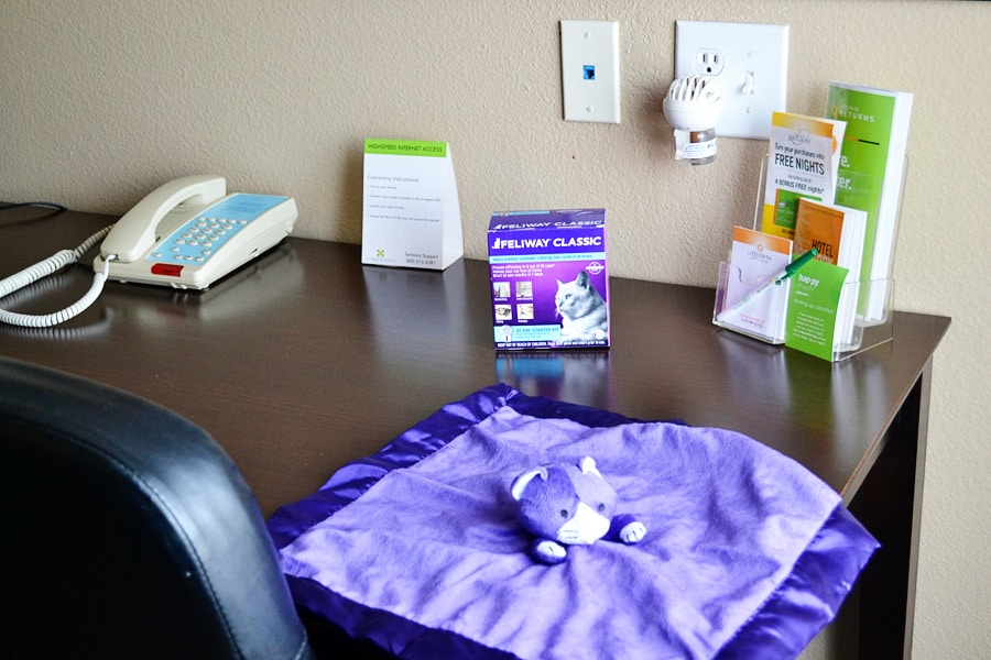 Feliway diffuser in hotel room for cats