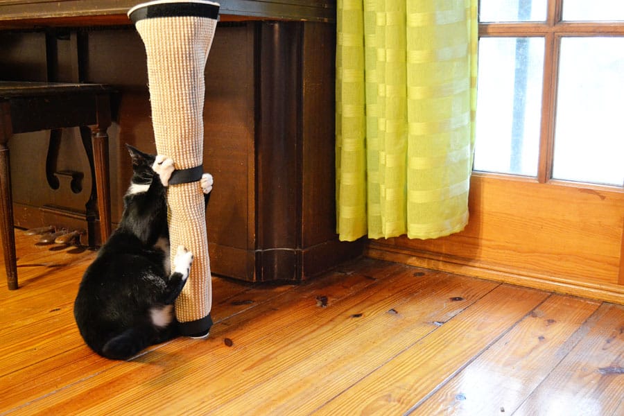 cat scratching post, vertical
