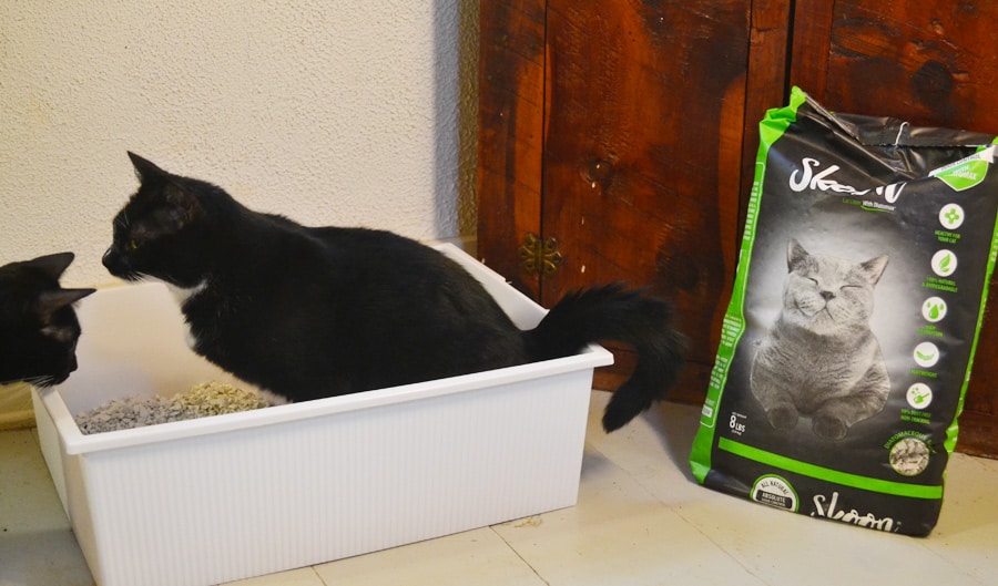 changing cat litter brands