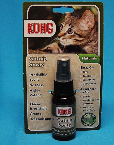 kong catnip spray