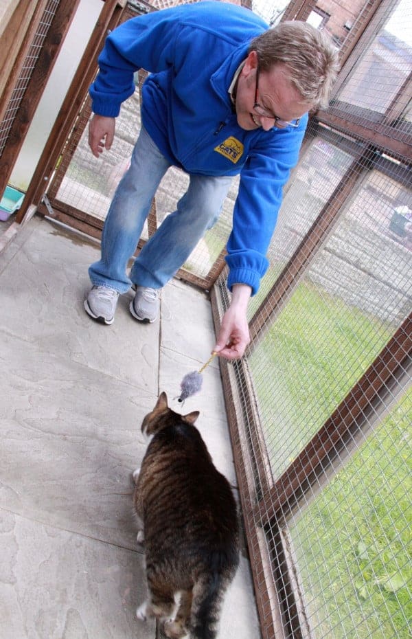 British Star Steve Miller Helps Cats Protection