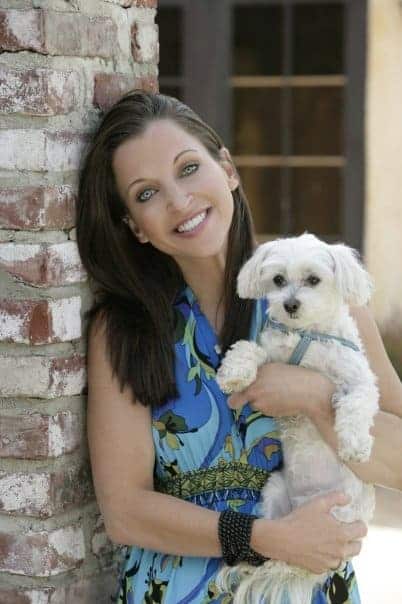 Sharpening Your Senior Cat’s Mind