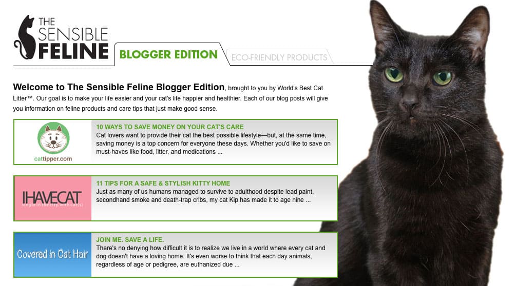 World’s Best Cat Litter Launches The Sensible Feline, Blogger Edition
