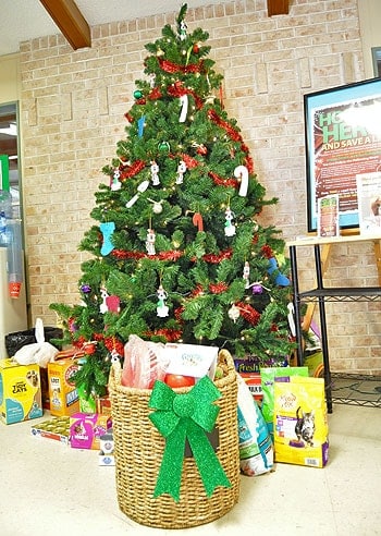 Thank You, Greenies!!